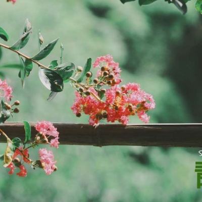 pg棋牌软件平台下载手机版截图